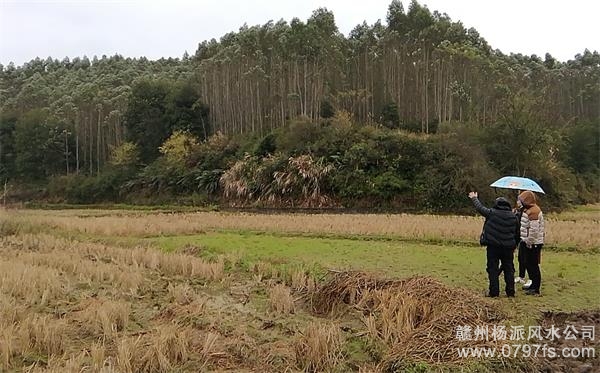 阿坝藏族羌族自治州陈老师带着爱徒寻龙点穴